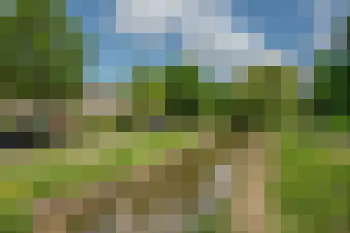 Goedendorplaan 92 Rijswijk thumbnail 29