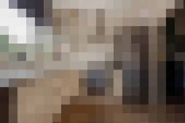 Goedendorplaan 92 Rijswijk thumbnail 4
