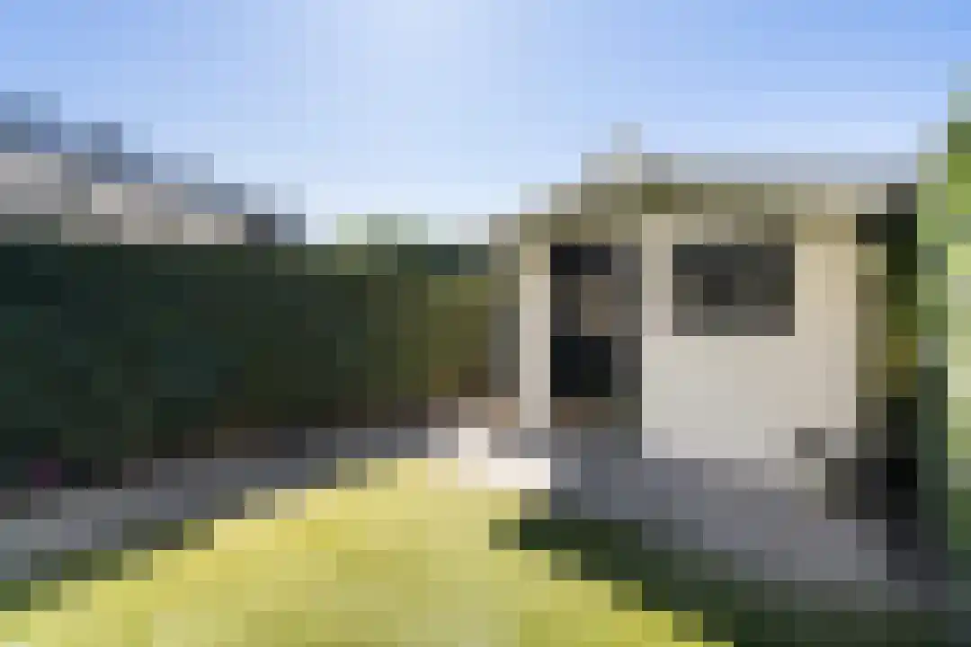 Goedenis 13 Weert thumbnail 37