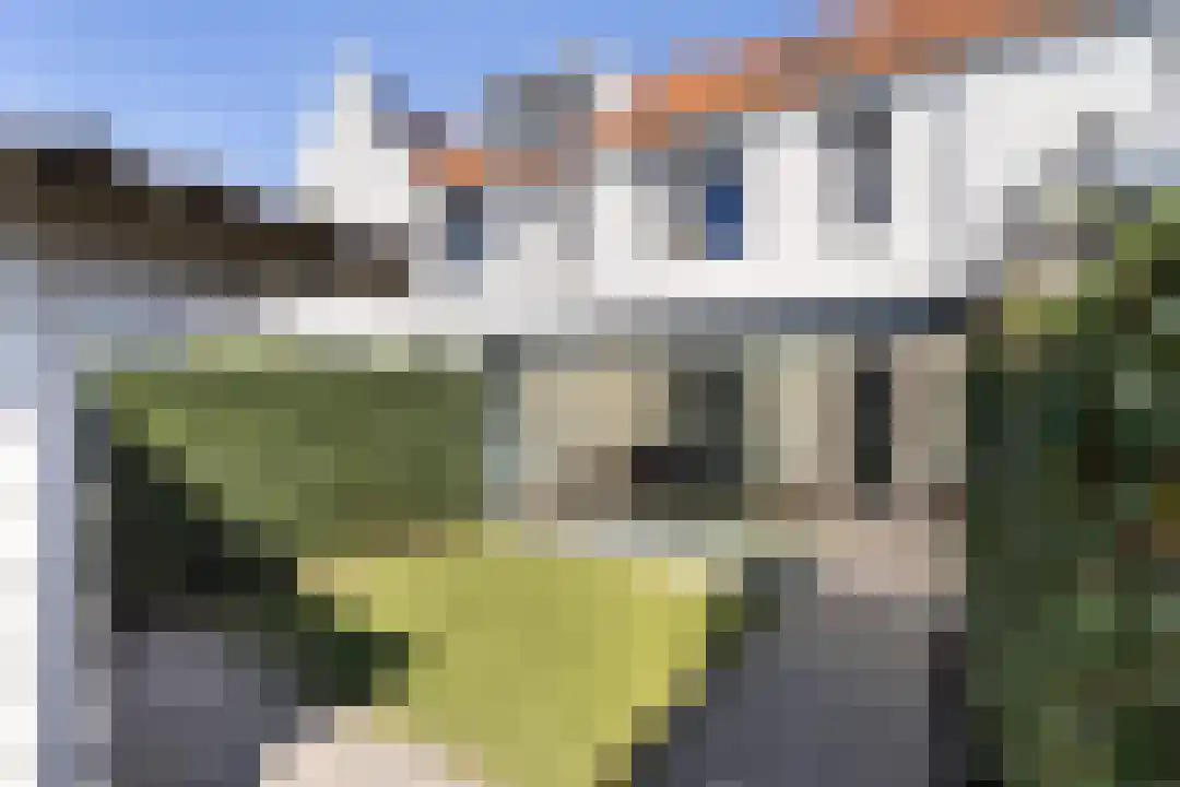 Goedenis 13 Weert thumbnail 38