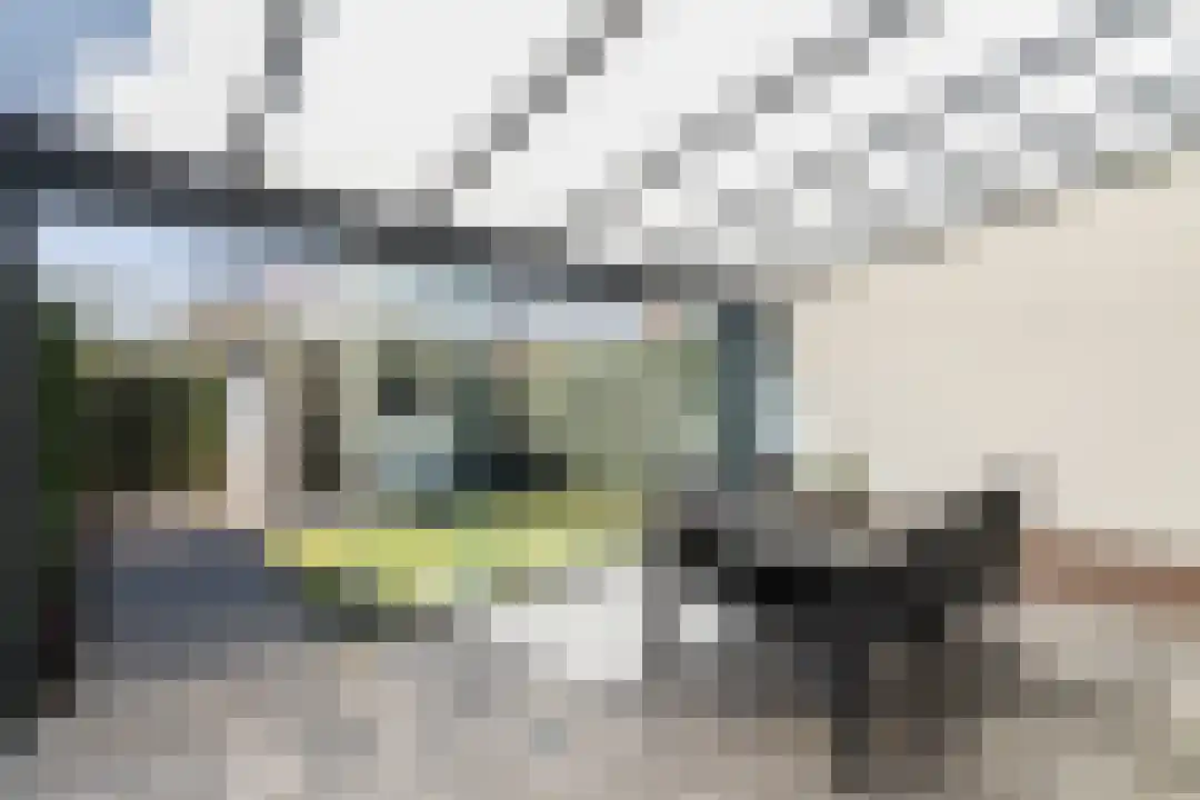 Goedenis 13 Weert thumbnail 5