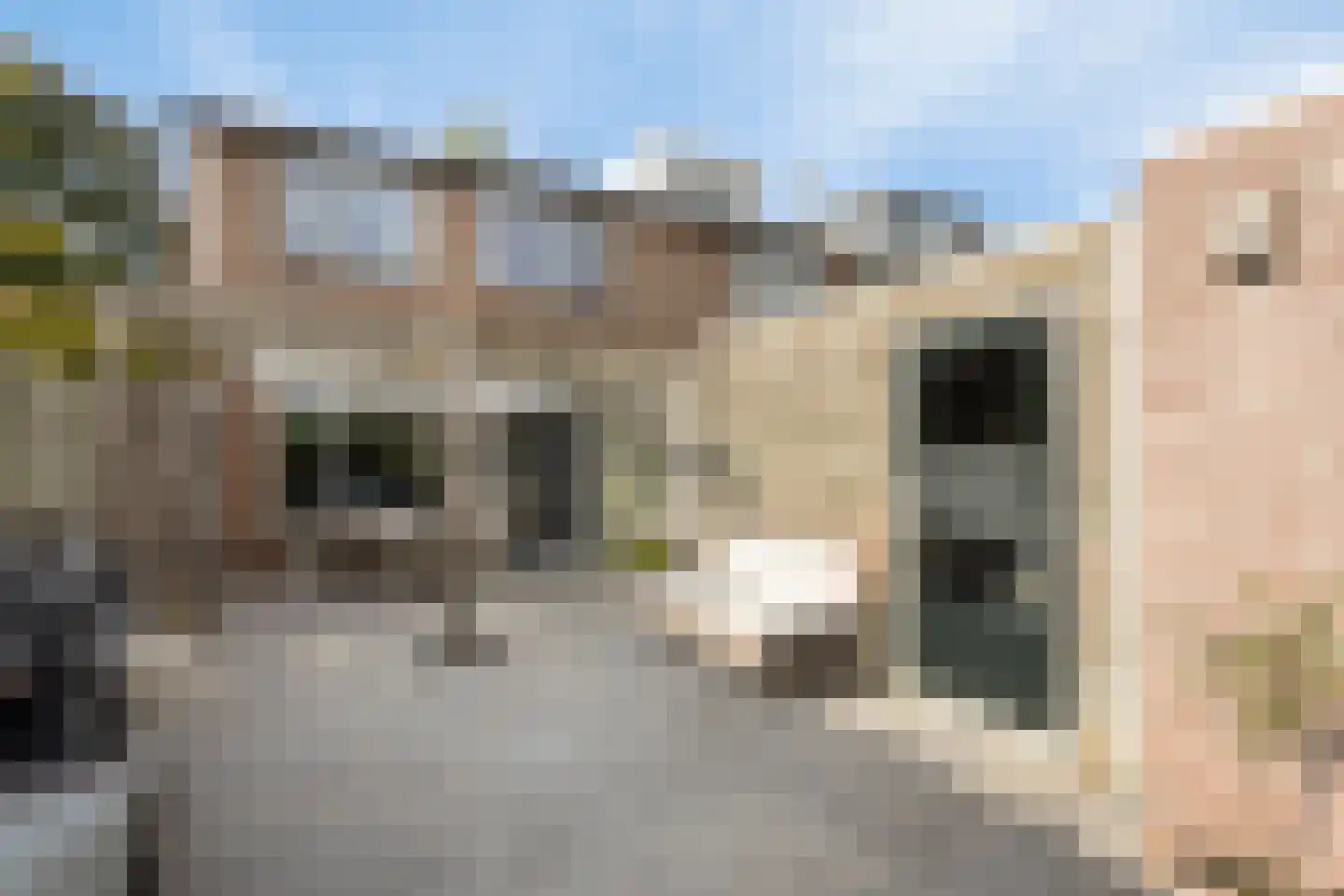 Goedenrade 2 's-Hertogenbosch thumbnail 16