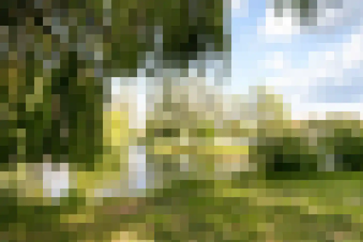 Goedenrade 2 's-Hertogenbosch thumbnail 30