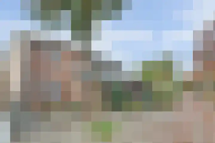 Goedenrade 28 's-Hertogenbosch thumbnail 24