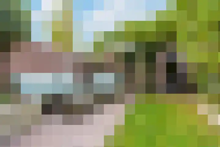 Goedenrade 44 's-Hertogenbosch thumbnail 17