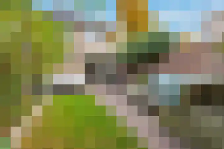 Goedenrade 44 's-Hertogenbosch thumbnail 19