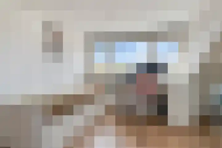 Goedenrade 44 's-Hertogenbosch thumbnail 36