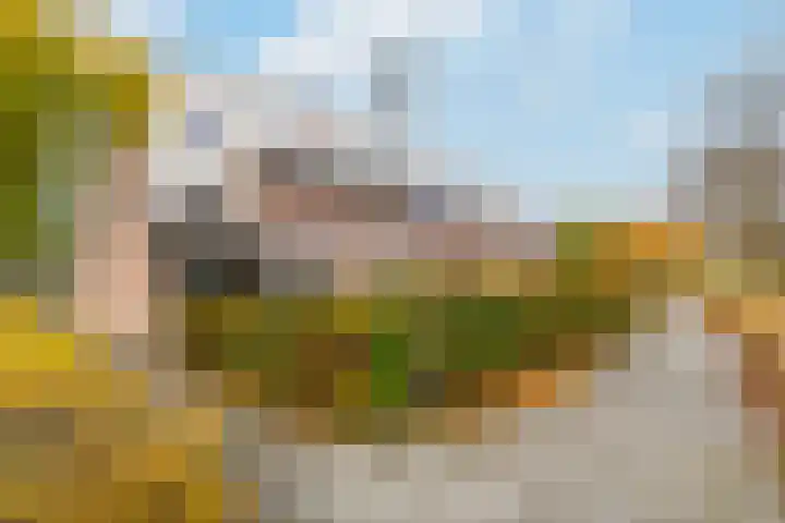 Goedenrade 44 's-Hertogenbosch thumbnail 39