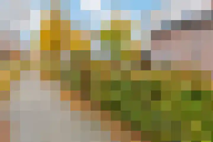 Goedenrade 44 's-Hertogenbosch thumbnail 40