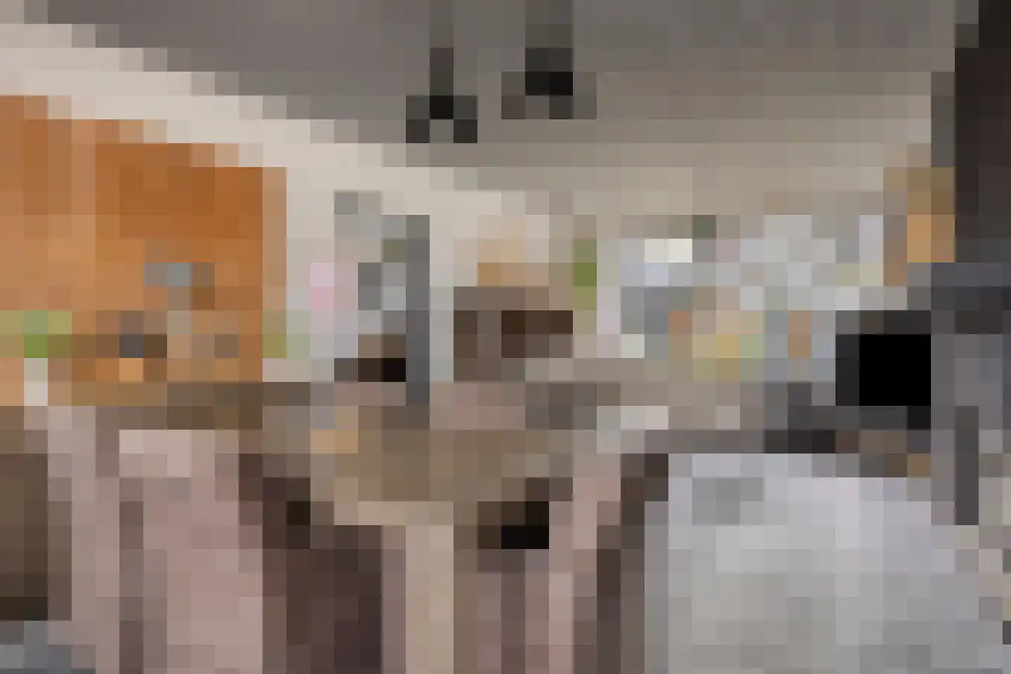 Goedentijd 38 Alphen thumbnail 12