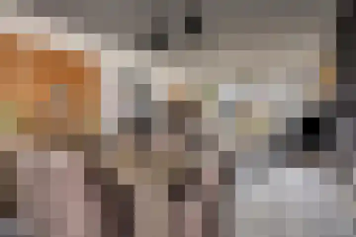 Goedentijd 38 Alphen thumbnail 12