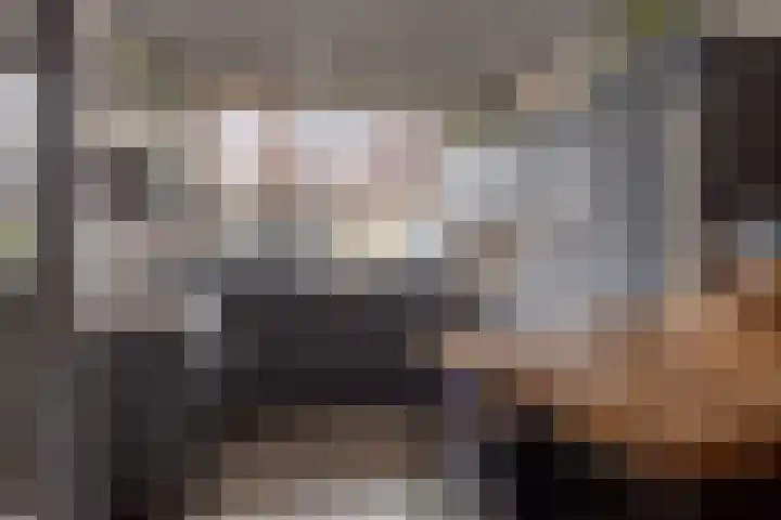 Goedentijd 38 Alphen thumbnail 13
