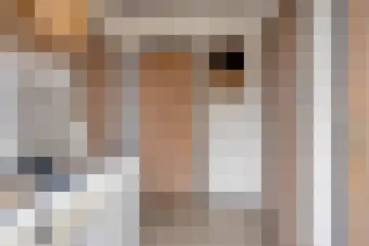 Goedentijd 38 Alphen thumbnail 18