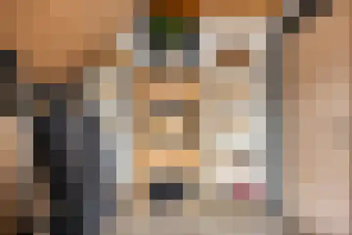 Goedentijd 38 Alphen thumbnail 34