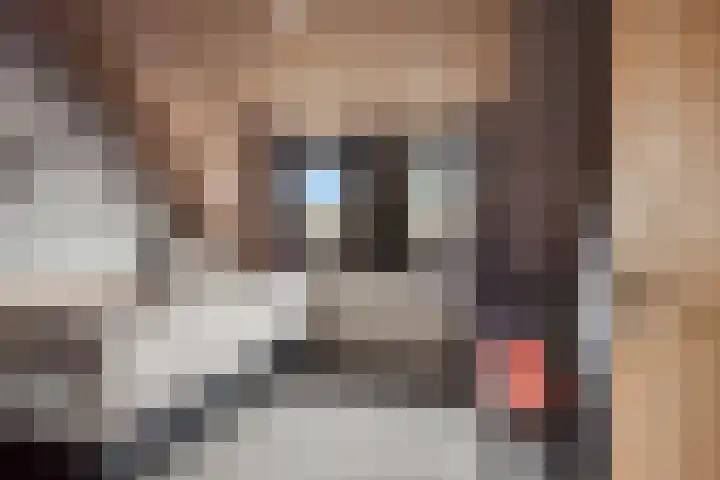 Goedentijd 38 Alphen thumbnail 35
