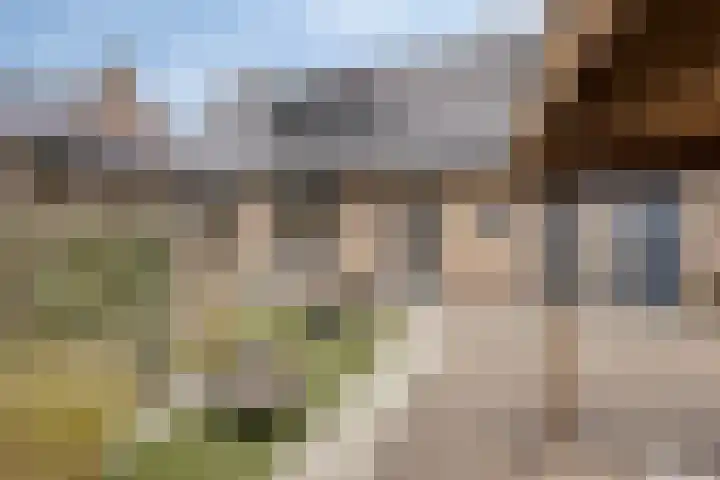 Goedentijd 38 Alphen thumbnail 41