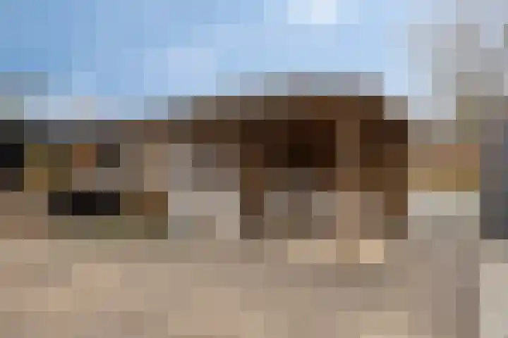 Goedentijd 38 Alphen thumbnail 43