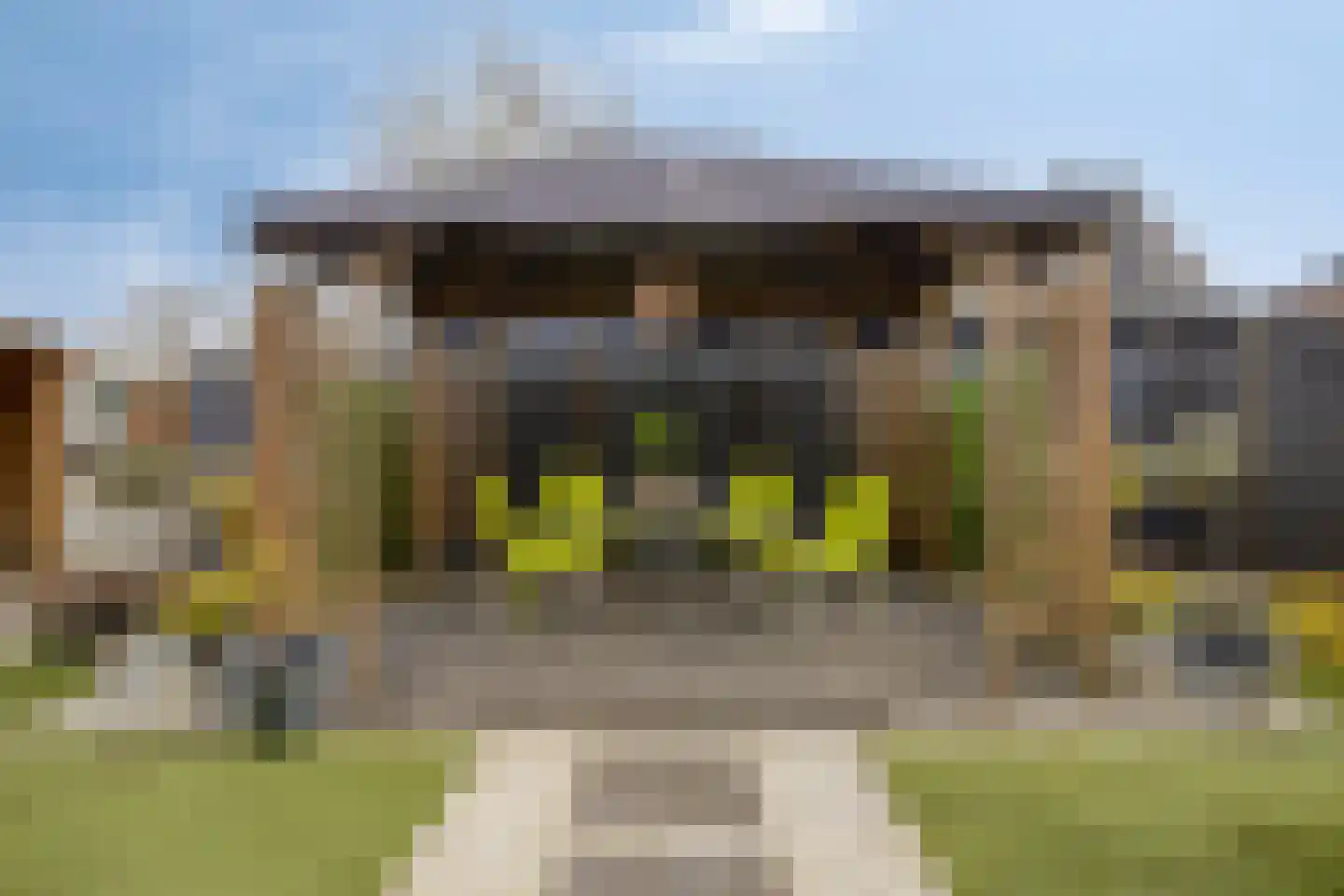 Goedentijd 38 Alphen thumbnail 46