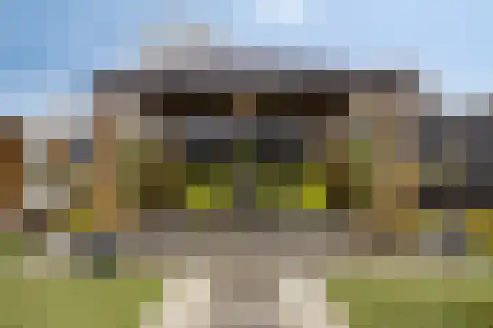 Goedentijd 38 Alphen thumbnail 46