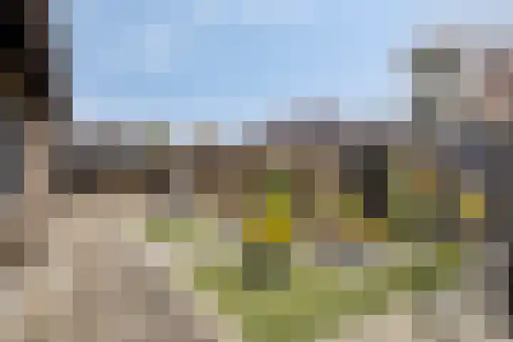 Goedentijd 38 Alphen thumbnail 47