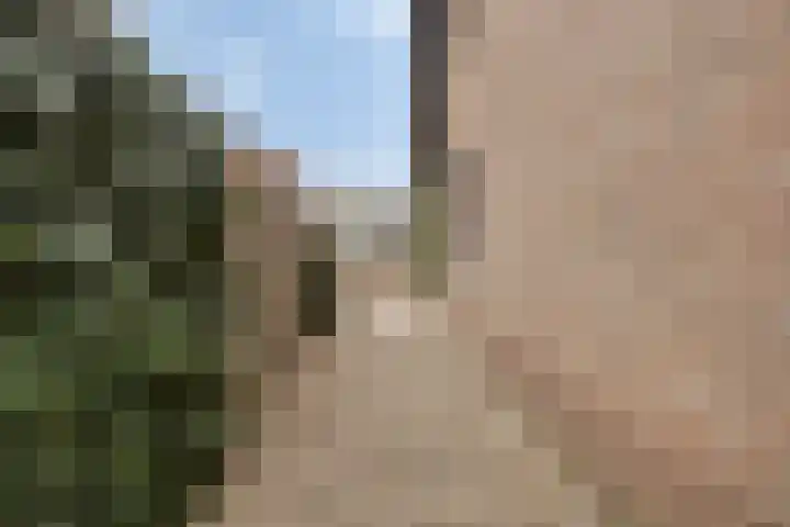 Goedentijd 38 Alphen thumbnail 49