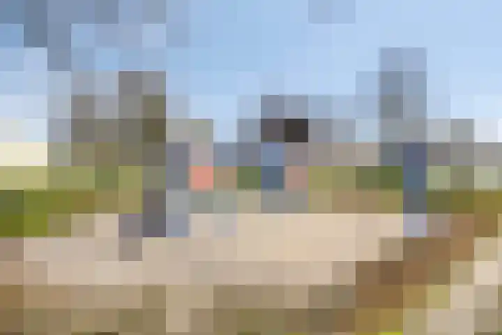 Goedentijd 38 Alphen thumbnail 52