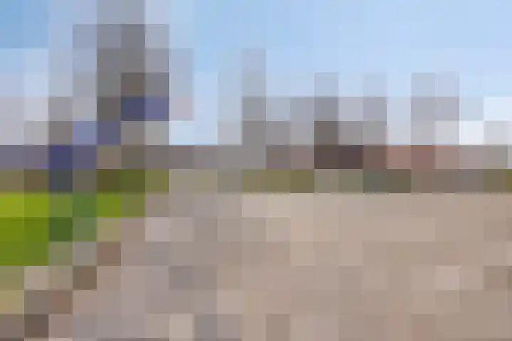 Goedentijd 38 Alphen thumbnail 54