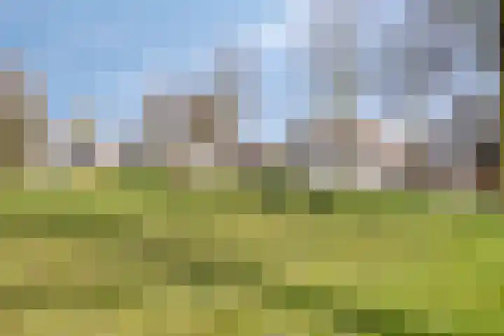 Goedentijd 38 Alphen thumbnail 57