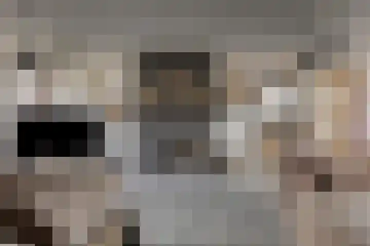 Goedentijd 38 Alphen thumbnail 9