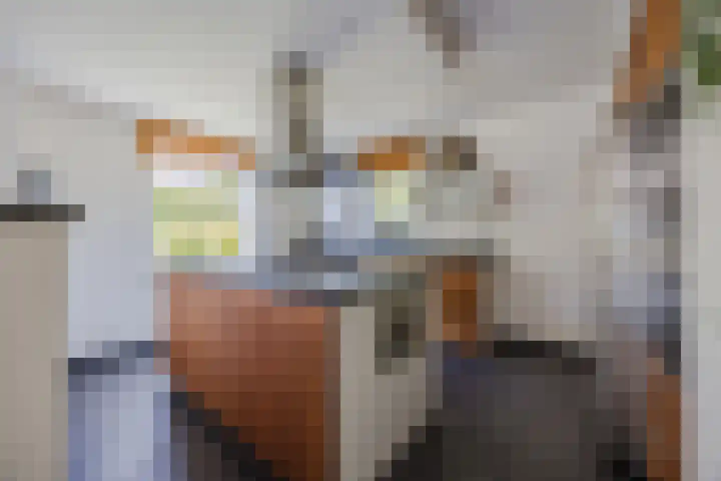 Goedentijd 40 b Alphen thumbnail 12