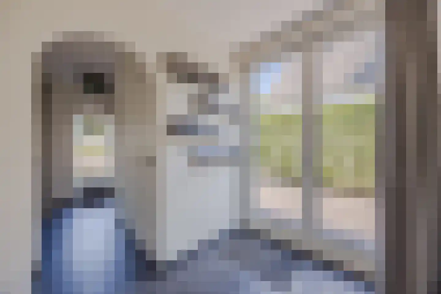 Goedentijd 40 b Alphen thumbnail 5