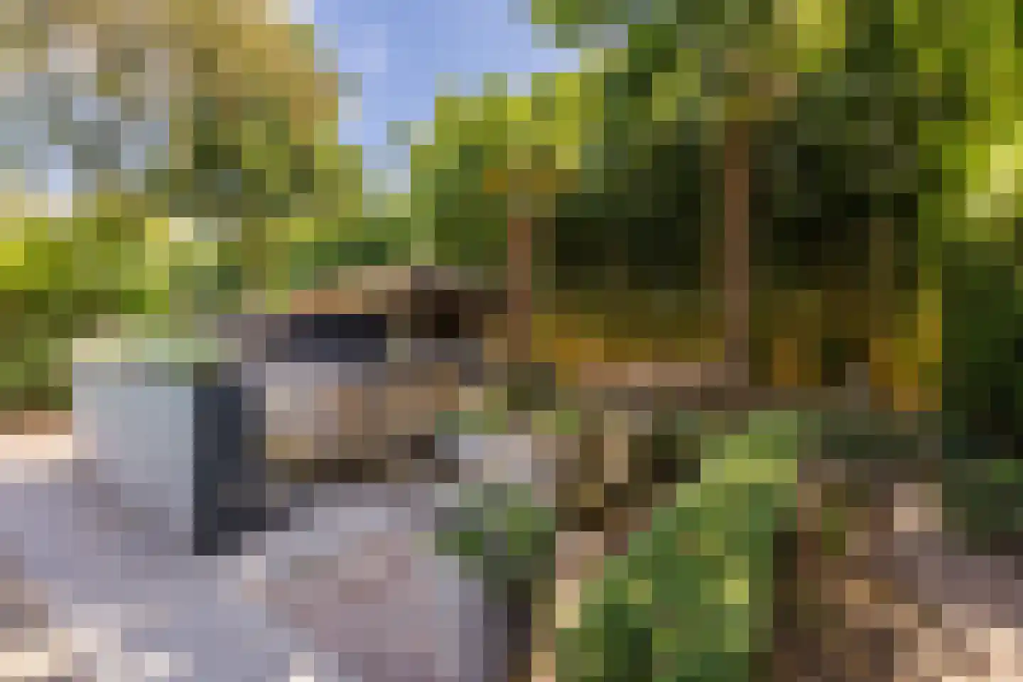 Goedentijd 40 b Alphen thumbnail 55