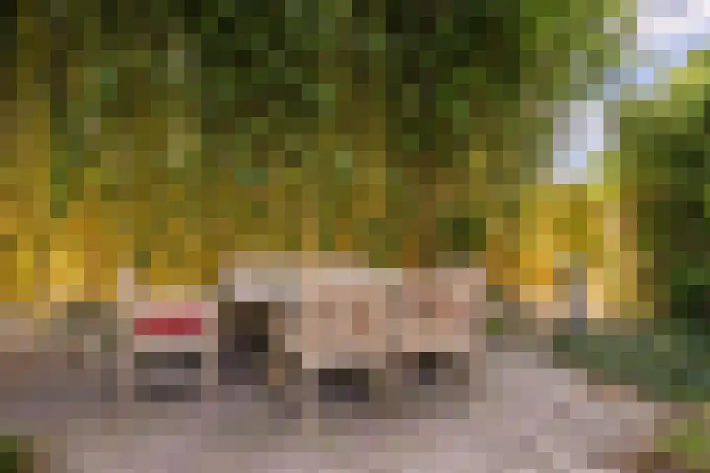 Goedentijd 40 b Alphen thumbnail 57