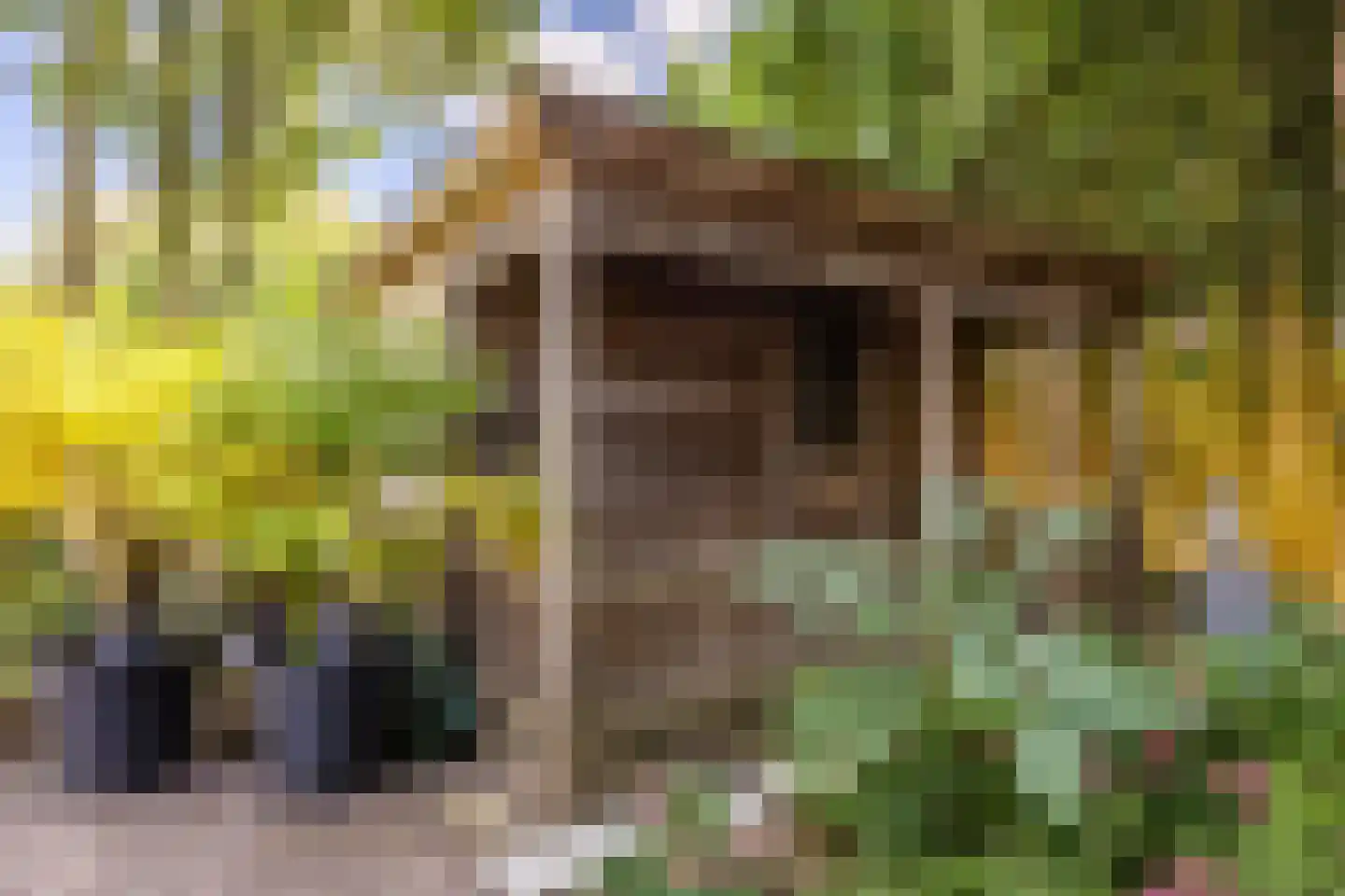 Goedentijd 40 b Alphen thumbnail 58