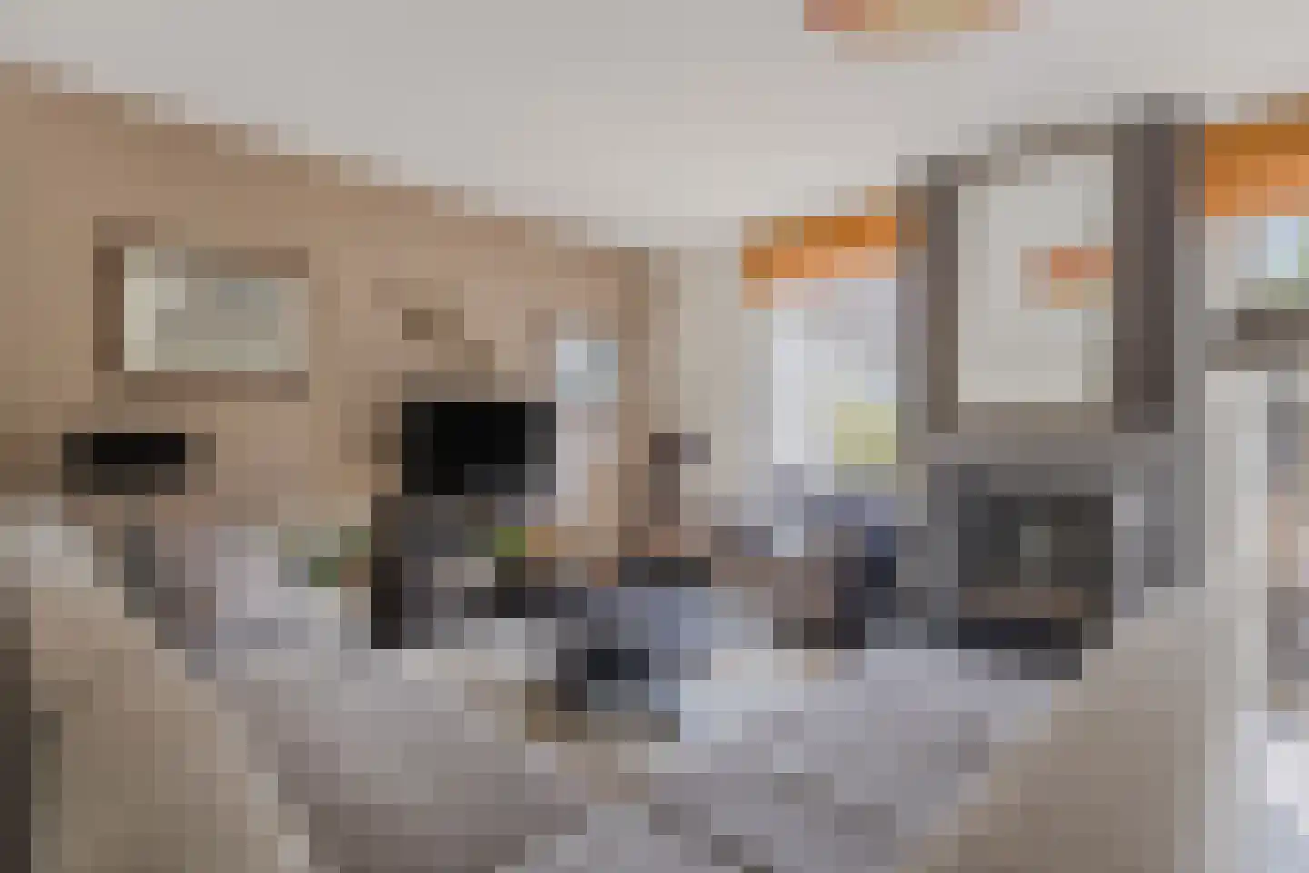 Goedentijd 40 b Alphen thumbnail 7