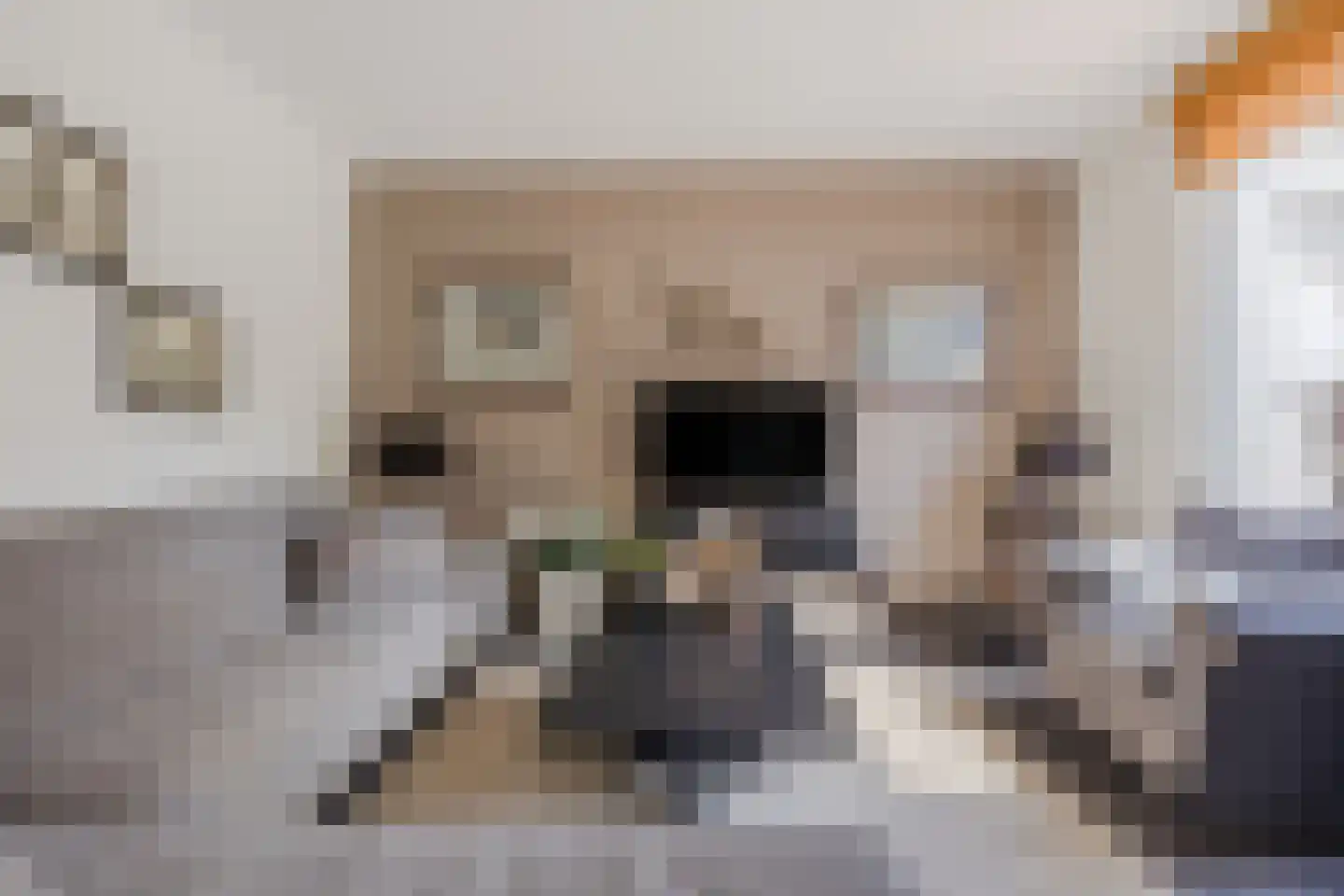 Goedentijd 40 b Alphen thumbnail 8