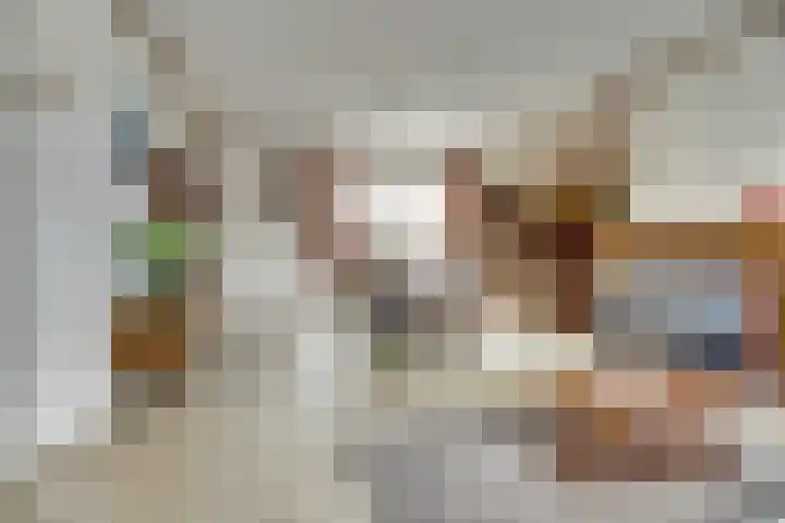 Goedentijd 50 Alphen thumbnail 12