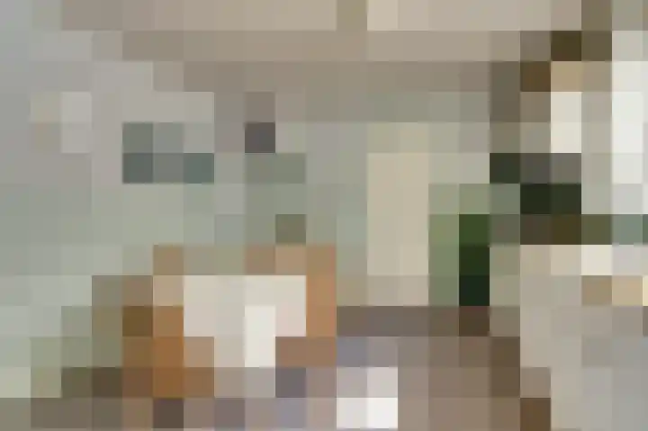 Goedentijd 50 Alphen thumbnail 18