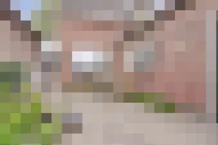 Goedentijd 50 Alphen thumbnail 40
