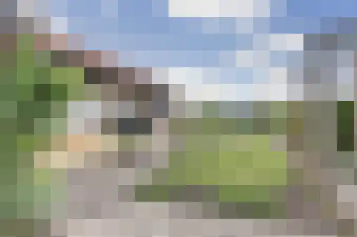 Goedentijd 50 Alphen thumbnail 43