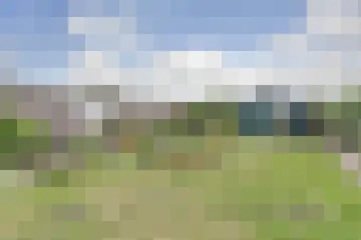 Goedentijd 50 Alphen thumbnail 47
