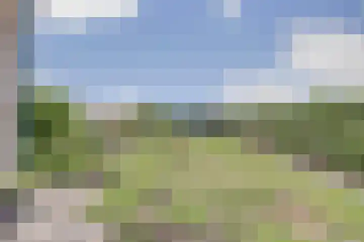 Goedentijd 50 Alphen thumbnail 48