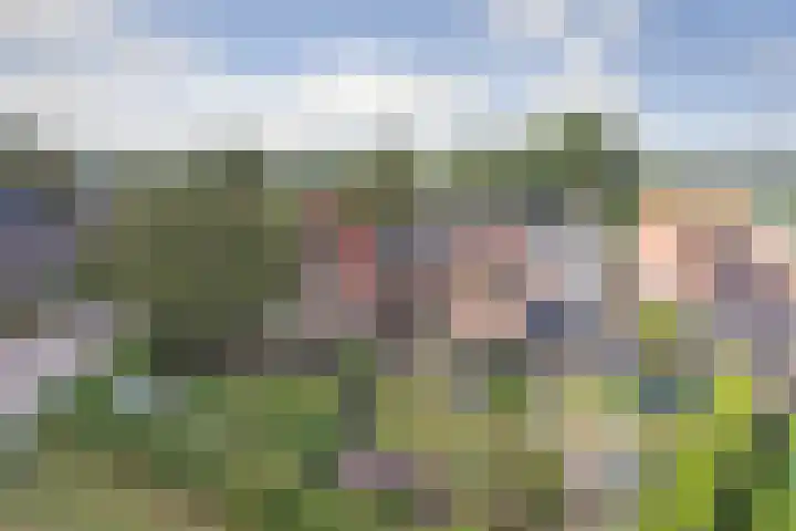 Goedentijd 50 Alphen thumbnail 49