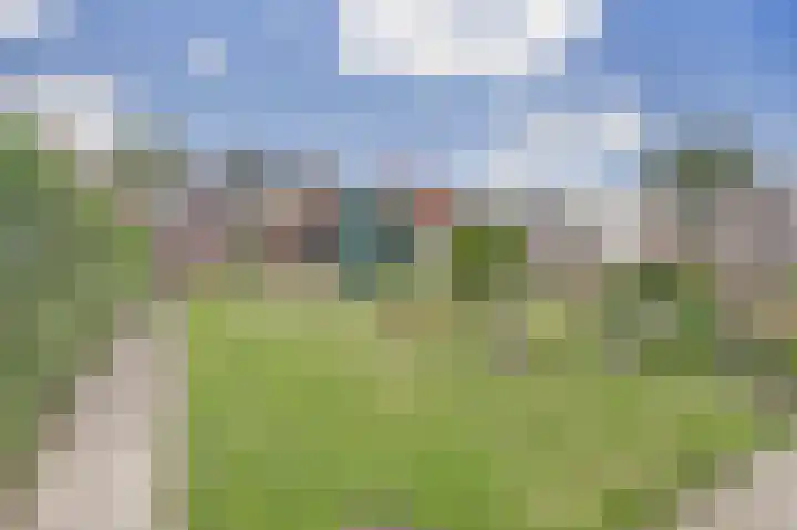 Goedentijd 50 Alphen thumbnail 5