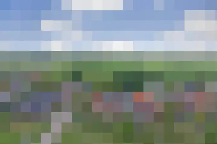 Goedentijd 50 Alphen thumbnail 50