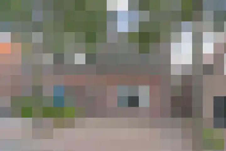Goedentijd 50 Alphen thumbnail 53