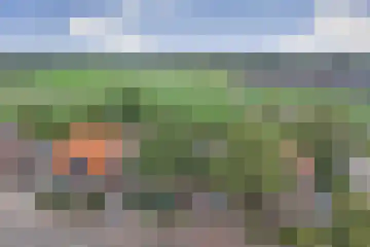 Goedentijd 50 Alphen thumbnail 54