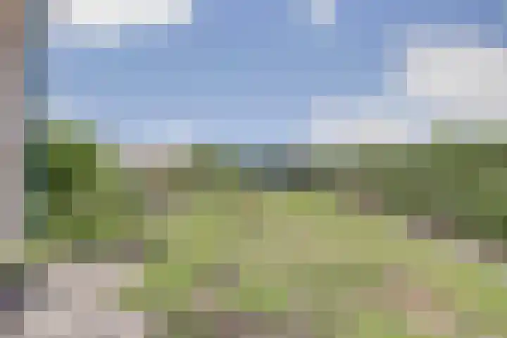 Goedentijd 50 Alphen thumbnail 6
