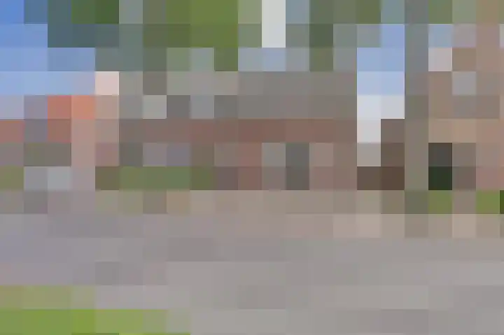Goedentijd 50 Alphen thumbnail 7