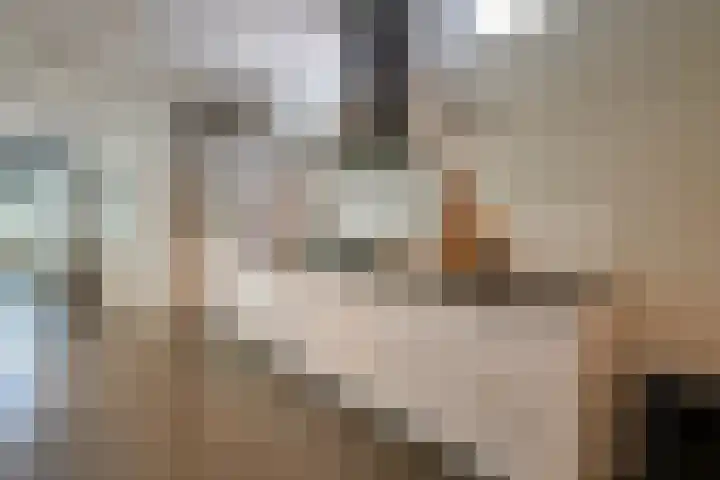 Goedestraat 114 Utrecht thumbnail 6